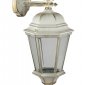 Настенный фонарь Oasis Light уличный ASTORIA 2 91402L 02 cover Gw