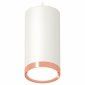 Подвесной светильник Ambrella light TECHNO SPOT XP8161014
