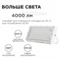 Настенно-потолочный прожектор Apeyron Electrics  05-41