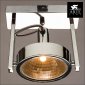 Потолочный светильник Arte Lamp Faccia A4507AP-1CC