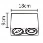 Потолочный светильник Arte Lamp A5655PL-2WH