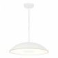 Подвесной светильник ST Luce Lid SL6128.503.01