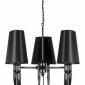 Подвесная люстра Brunilde 10207/6 Black