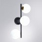 Настенный светильник Arte Lamp Gemini A2243PL-3BK