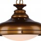 Подвесной светильник Favourite Laterne 1330-1P1