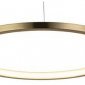 Подвесной светодиодный светильник Loft IT Ring 10014S