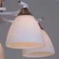 Потолочная люстра  05009-0.3-05 WH+FG