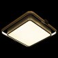 Потолочный светильник Loft IT Mike 10171