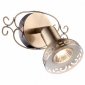 Настенно-потолочный светильник Arte Lamp Focus A5219AP-1AB