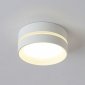 Накладной светильник Ambrella TN TN5391