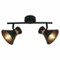 Настенно-потолочный светильник Arte Lamp Baltimore A1406AP-2BK
