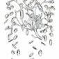 Бра Odeon Light Delica 4970/3W
