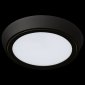 Потолочный светодиодный светильник Lightstar Urbano 216972