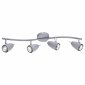 Потолочный светильник Arte Lamp Regista A1966PL-4GY