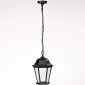 Уличный светильник подвесной Oasis Light 91405L Bl
