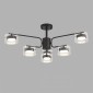 Потолочная люстра Lumion Natalina 8349/6C