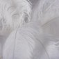 Торшер Bijout 10067F/SG White