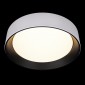 Потолочный светильник Loft IT Coin 10202 WB