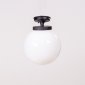 Потолочный светильник уличный Oasis Light GLOBO S 88205SA Bl