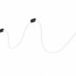 Подвесной светильник Loft IT Thread 10388B Black