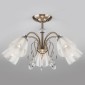 Потолочная люстра Eurosvet Floranse 30155/5 античная бронза