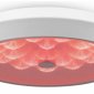 Накладной светильник Freya LED FR10012CL-L24W