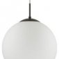 Подвесной светильник Lumion Summer 6510/1A