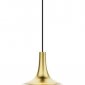 Подвесной светильник DeLight Collection MD24001012 MD24001012-1A brass/champagne