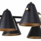 Потолочная люстра F-Promo Rigor 2844-8P