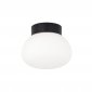 Настенно-потолочный светильник Donolux Munich DL18031G9Black 140