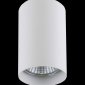 Точечный накладной светильник Lightstar Rullo 214436