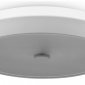 Накладной светильник Freya LED FR10012CL-L24W