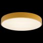 Потолочный светильник Loft IT Axel 10002/24 Yellow