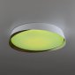 Накладной светильник Citilux BONNY CL754350G