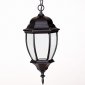 Уличный светильник подвесной Oasis Light 91205L Bl