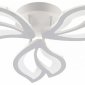 Потолочная люстра Fortuna LED LAMPS 81107/2C