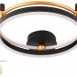 Потолочный светодиодный светильник Crystal Lux Fernando PL48W Led Black/Gold