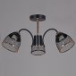Потолочная люстра  01505-0.3-03 BK+FGD