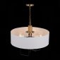 Подвесная люстра ST Luce Delavera SL336.303.05
