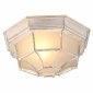 Уличный потолочный светильник Arte Lamp Pegasus A3121PF-1WG