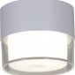 Потолочный светодиодный светильник Reluce 81155-9.5-001MN LED7W WT