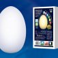 Уличный светодиодный светильник (UL-00003302) Uniel ULG-R003 019/RGB IP54 Egg