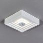 Настенно-потолочный светильник Escada Gesso 10218/SG LED