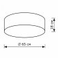 Потолочный светильник Lighthall Camerona 65 LH022028