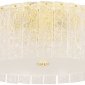 Потолочный светильник Crystal Lux Oviedo PL6