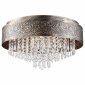 Потолочный светильник Lussole Loft LSP-8025