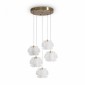 Подвесной светильник Freya Flower FR5579PL-L40BS