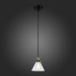 Подвесной светильник ST Luce SL237.403.01