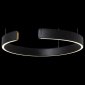Подвесной светодиодный светильник Loft IT Ring 10025/400 Black