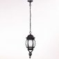 Уличный светильник подвесной Oasis Light 83405L Bl